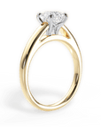 Cathedral Solitaire Engagement Ring