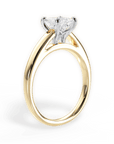 Cathedral Solitaire Engagement Ring